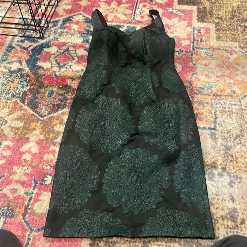 Gorgeous Anthropologie dress